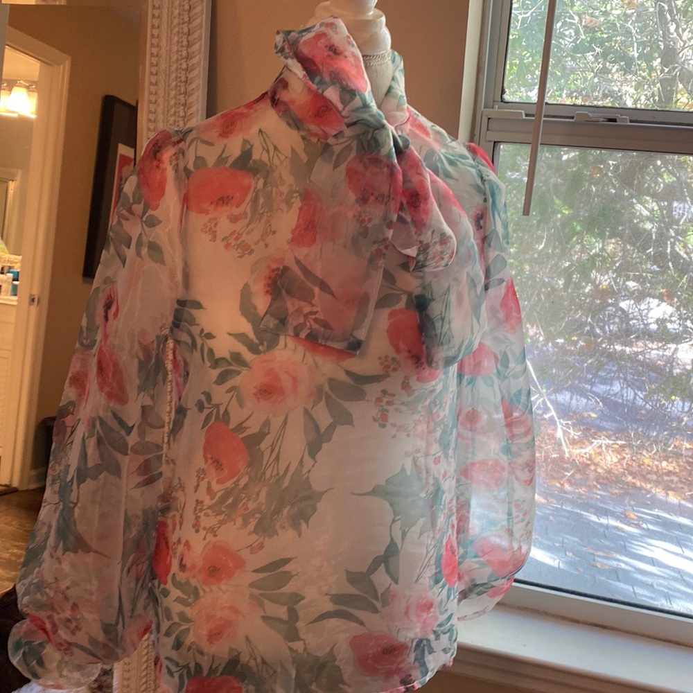 Sheer Garden Party Blouse with bow